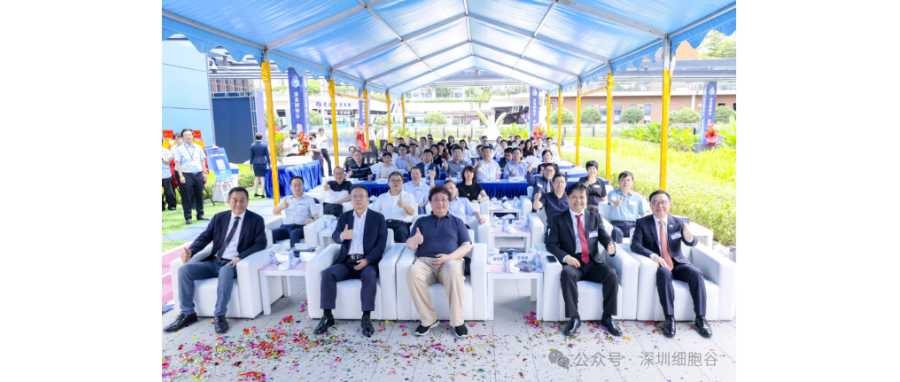 联动香港，开启前海细胞治疗新未来——深港凯发天生赢家一触即发首页盛大开业