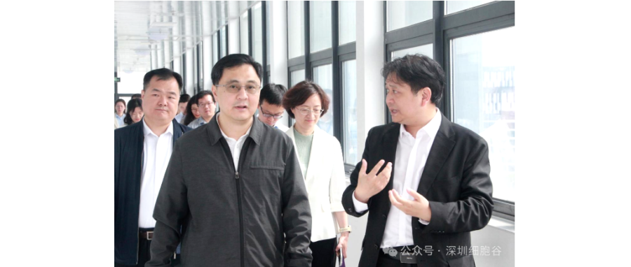 深圳市科创局张林局长一行调研深圳凯发天生赢家一触即发首页