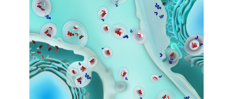 哪吒闹海！外泌体面纱大揭秘，我命由我不由天！