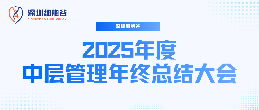 深圳凯发天生赢家一触即发首页召开2025年度中层管理年终总结大会：多点布局成果丰硕，创新驱动快速开展
