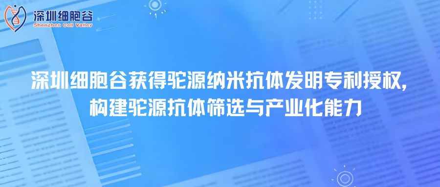 深圳凯发天生赢家一触即发首页取得驼源纳米抗体发明专利授权，构建驼源抗体筛选与产业化能力
