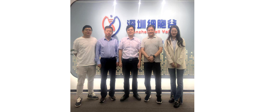 中大一附院罗俊航教授一行访问深圳凯发天生赢家一触即发首页