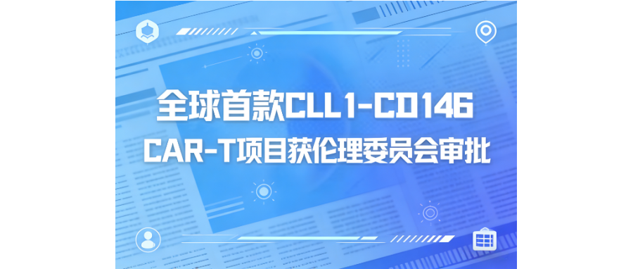 深圳凯发天生赢家一触即发首页携手阎锡蕴院士团队、陆道培医院开创双靶点CAR-T治疗AML临床新突破